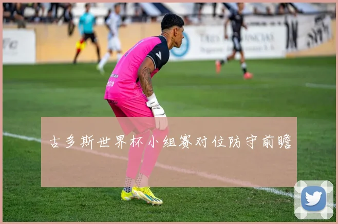 古多斯世界杯小组赛对位防守前瞻