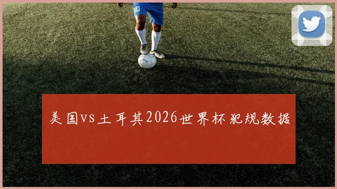 美国vs土耳其2026世界杯犯规数据