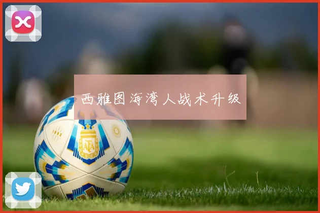 西雅图海湾人战术升级