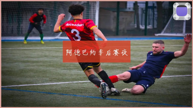 阿德巴约季后赛夜