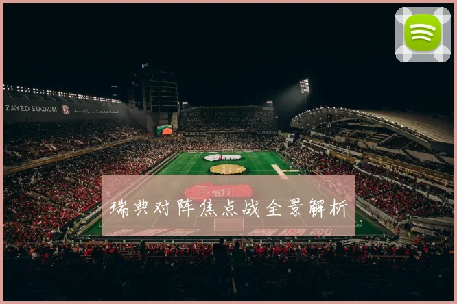 瑞典对阵焦点战全景解析