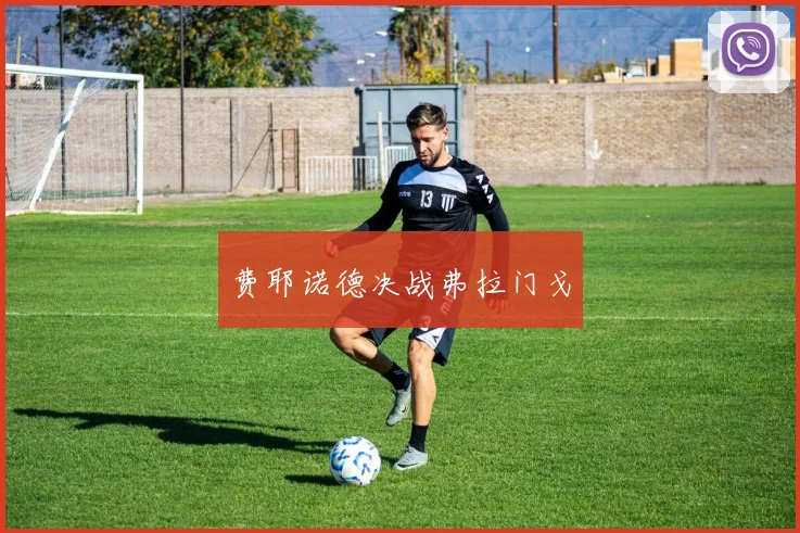 费耶诺德决战弗拉门戈