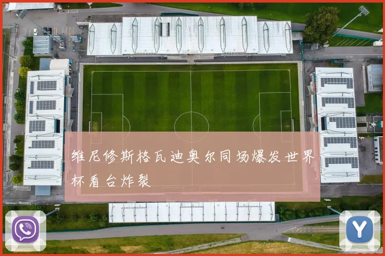 维尼修斯格瓦迪奥尔同场爆发世界杯看台炸裂