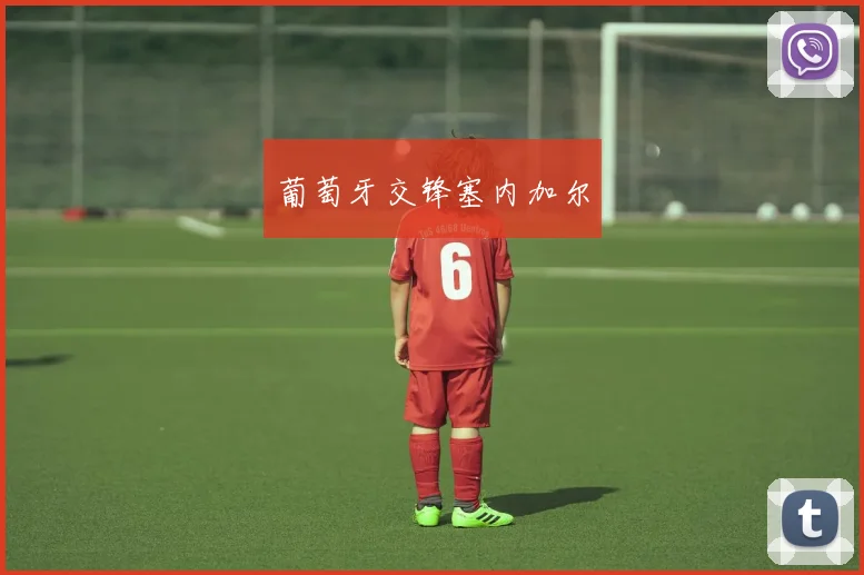 葡萄牙交锋塞内加尔