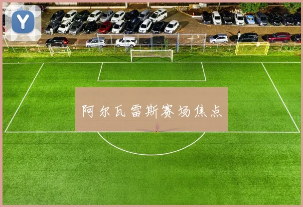 阿尔瓦雷斯赛场焦点