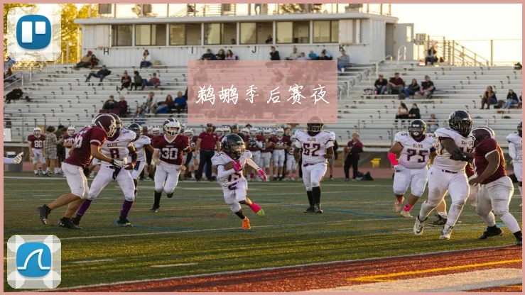 鹈鹕季后赛夜