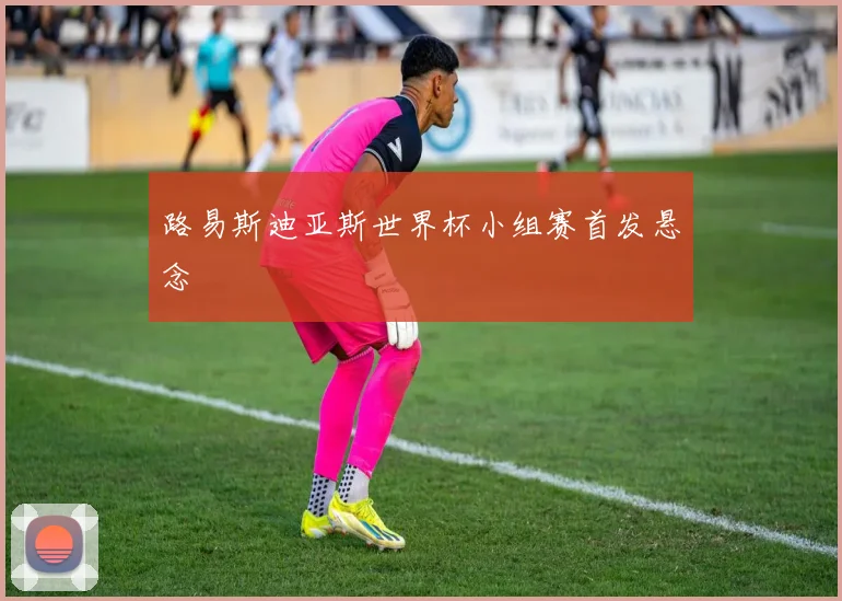 路易斯迪亚斯世界杯小组赛首发悬念