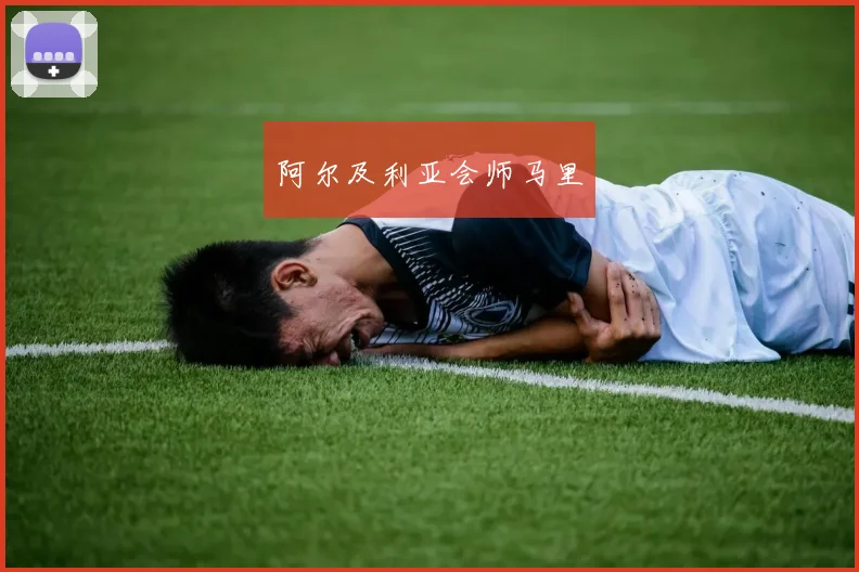 阿尔及利亚会师马里