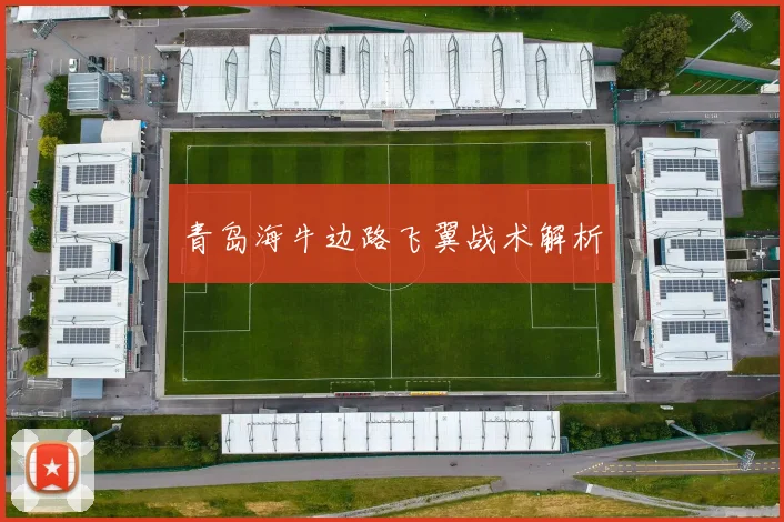 青岛海牛边路飞翼战术解析