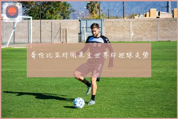 哥伦比亚对刚果金世界杯控球走势