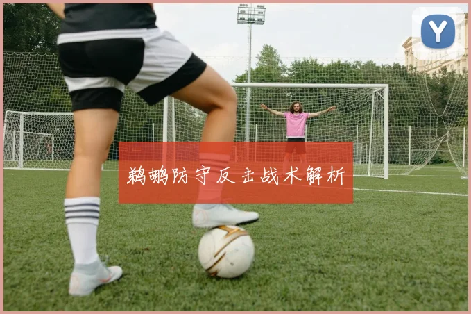 鹈鹕防守反击战术解析