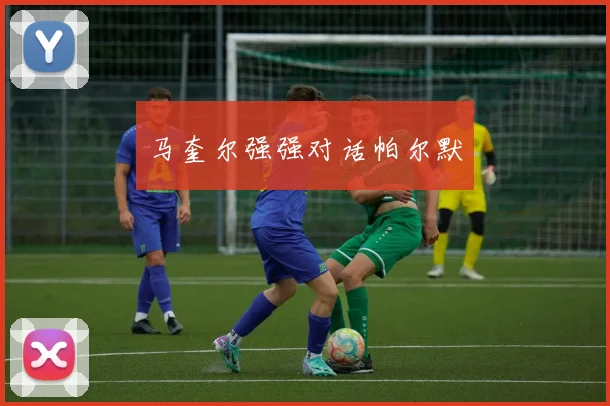 马奎尔强强对话帕尔默