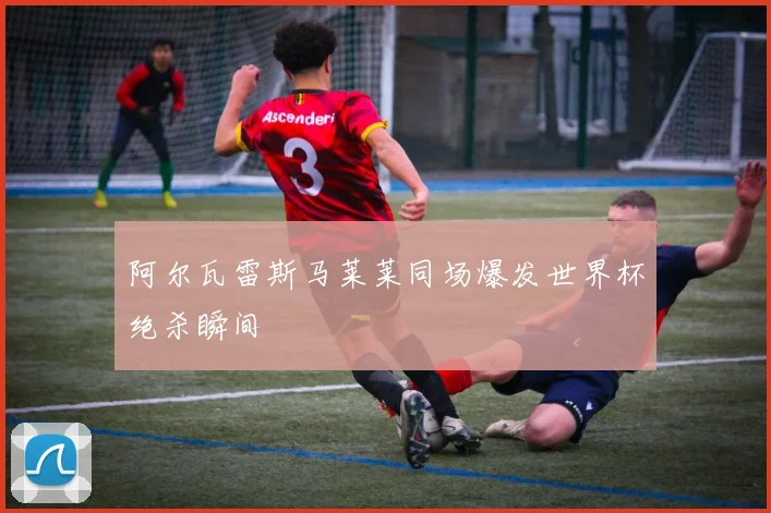 阿尔瓦雷斯马莱莱同场爆发世界杯绝杀瞬间
