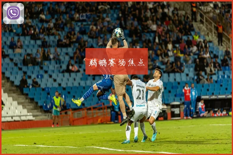鹈鹕赛场焦点