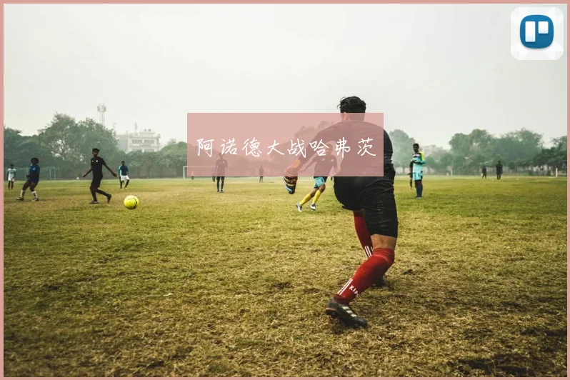 阿诺德大战哈弗茨