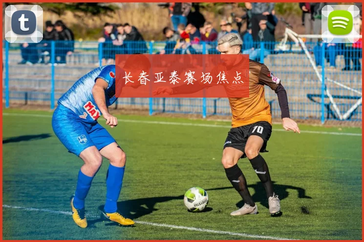 长春亚泰赛场焦点