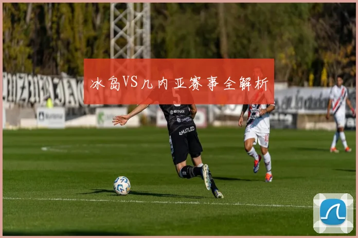 冰岛VS几内亚赛事全解析