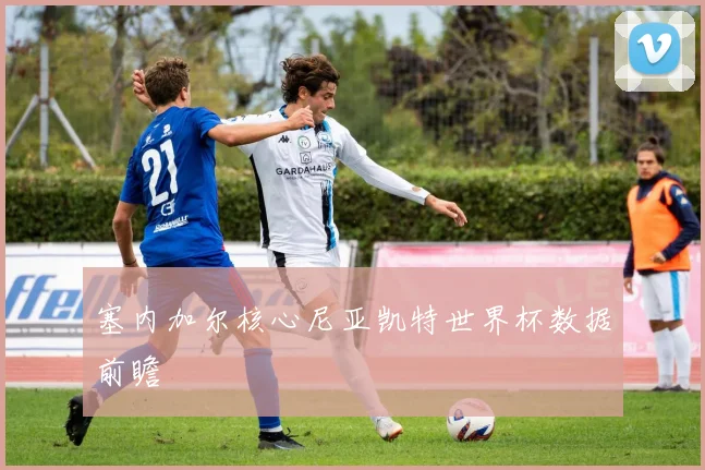 塞内加尔核心尼亚凯特世界杯数据前瞻
