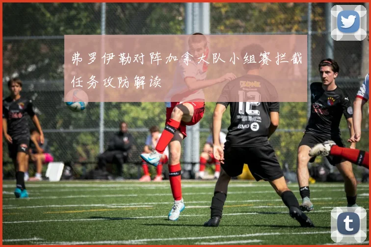 弗罗伊勒对阵加拿大队小组赛拦截任务攻防解读
