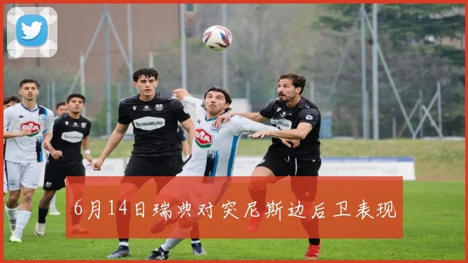 6月14日瑞典对突尼斯边后卫表现