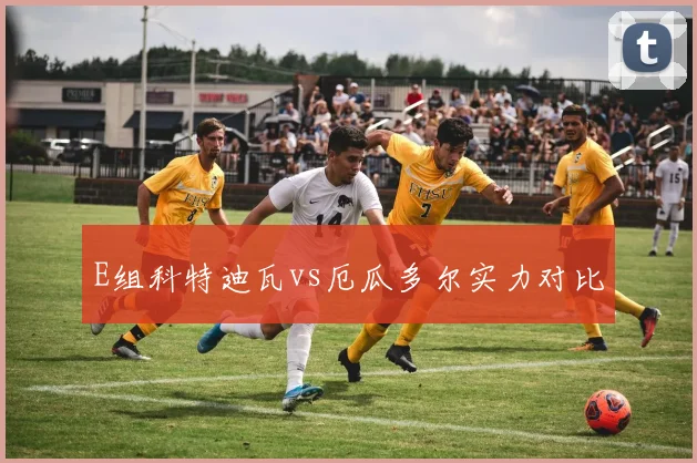 E组科特迪瓦vs厄瓜多尔实力对比