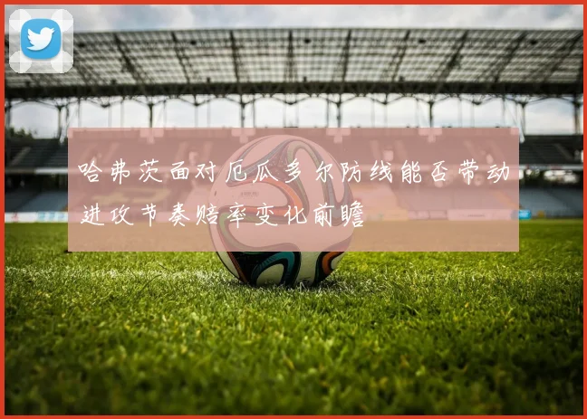 哈弗茨面对厄瓜多尔防线能否带动进攻节奏赔率变化前瞻