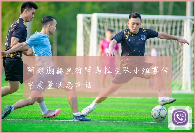 阿尔谢赫里对阵乌拉圭队小组赛传中质量状态评估