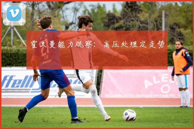 霍夫曼能力观察：高压处理定走势